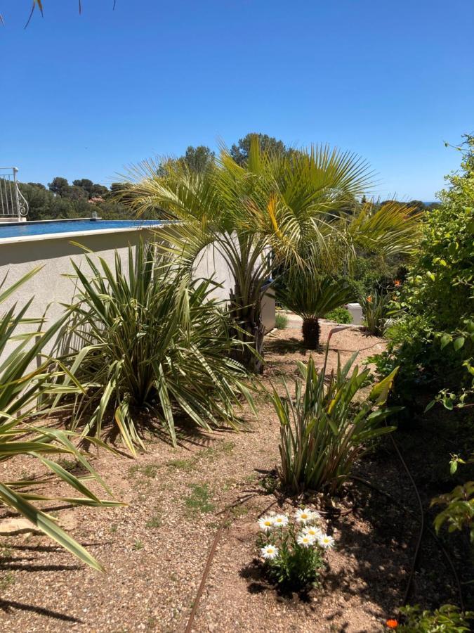 Villa Du Belvedere - La Chambre Mer Saint-Raphaël 外观 照片